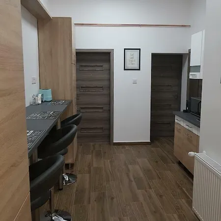 ホームステイ City Center Lux Apartman ミシュコルツ